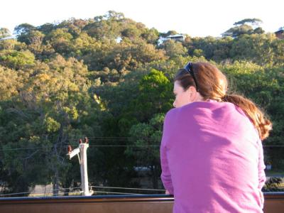 View from the back of Anchorage