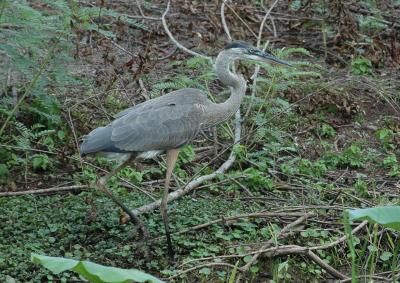 DSC_0016-3.jpg