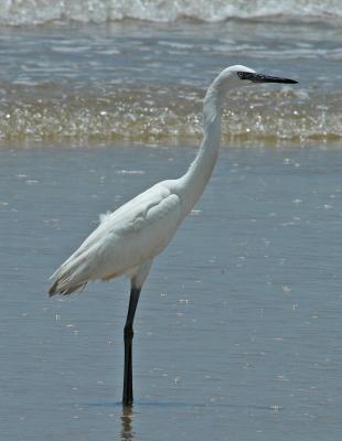 DSC_0113.JPG