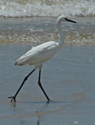 DSC_0114.JPG