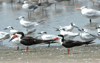 DSC_0025_edited-1.jpg