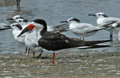 DSC_0027_edited-1.jpg