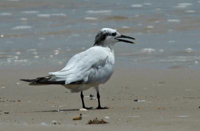 DSC_0046_edited-1.jpg