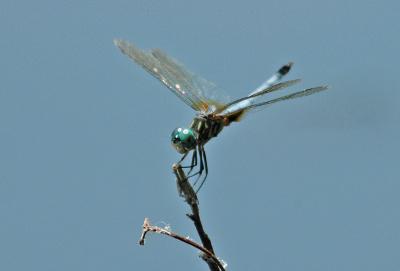 DSC_0014.JPG