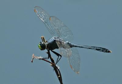 DSC_0018.JPG