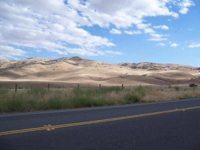 Just east of Cambria on Hwy 46