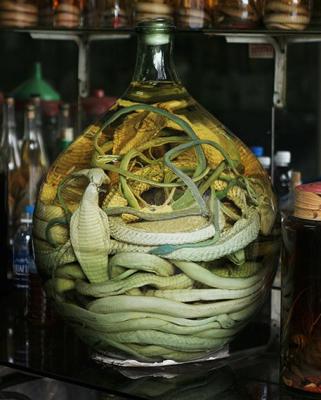  Snake wine 