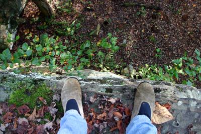 On The Edge 10/10/05
