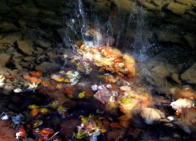 Splash! 10/29/05