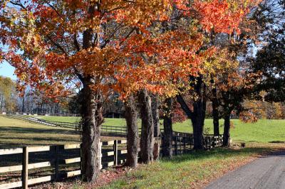 Baker Ridge Road 11/02/05