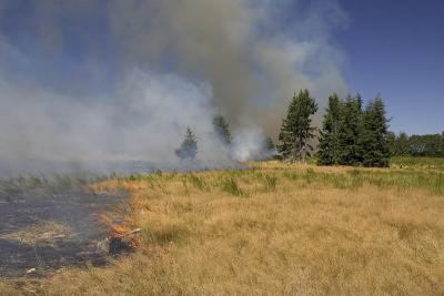Prescribed burn