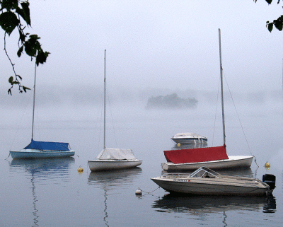 Fog and boats.