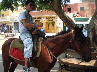 me on me..(horse)