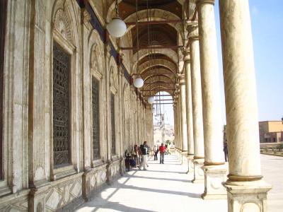 the corridors