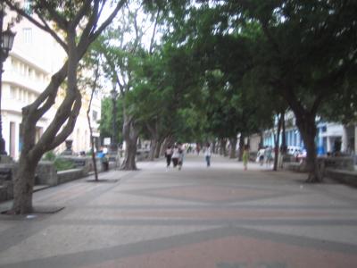 the main street avenue..prado
