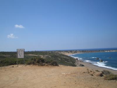 a beach.....