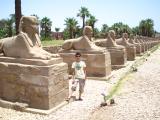 me n avenue of sphinx