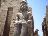 one of the many statues of luxor temple