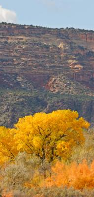 COLORADO NATIONAL MONUMENT-CO-PANORAMA