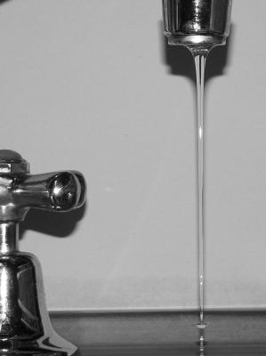 v3/42/347642/3/49912702.BW2.jpg