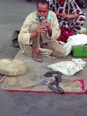 marrakesh1.jpg