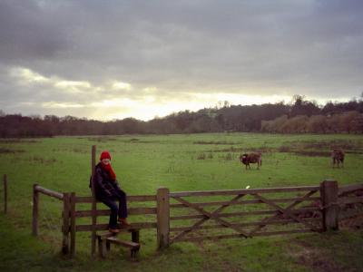 Pilgrims Way in December 2003