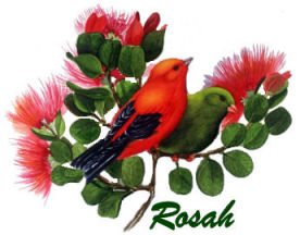 redandgreenbirds.jpg