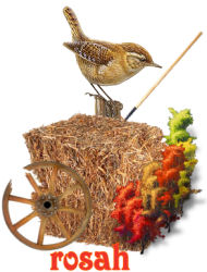 wren fall.jpg