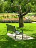 The Bench at Washington Park