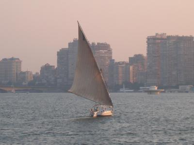 Nile Felucca