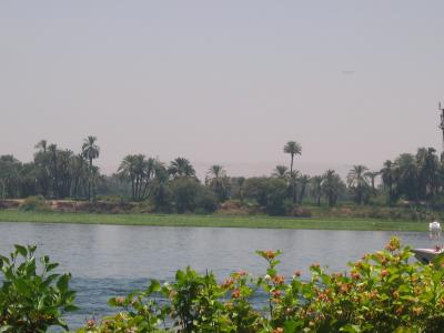 Nile River in Luxor