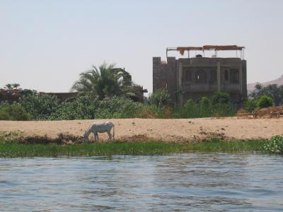 West Bank of Nile