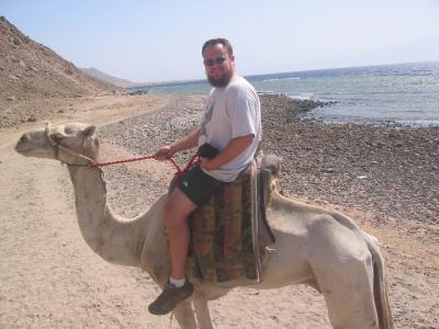 The (painful) Camel Trek to Ras Abu Gallum