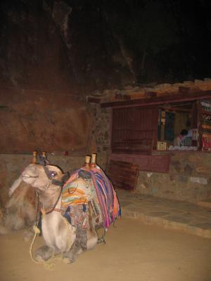 Camel Trail to Summit of Mt. Sinai