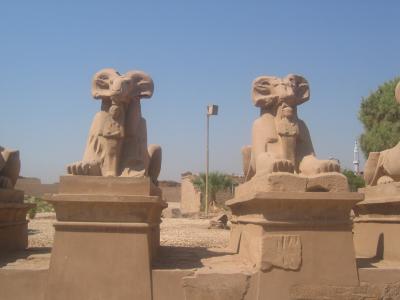 Ram headed Spinxes @ Karnak