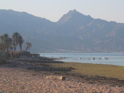 Eel Garden in Dahab