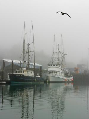 Newport Fog