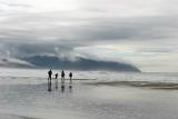 Seal Rock to Arcadia Beach
