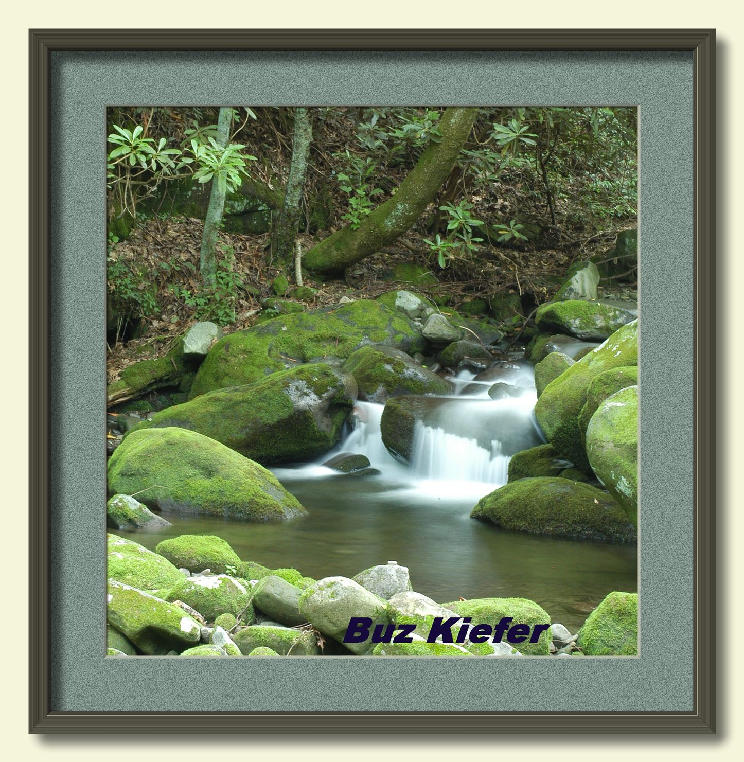 Small Pool on Roaring Fork-framed.jpg