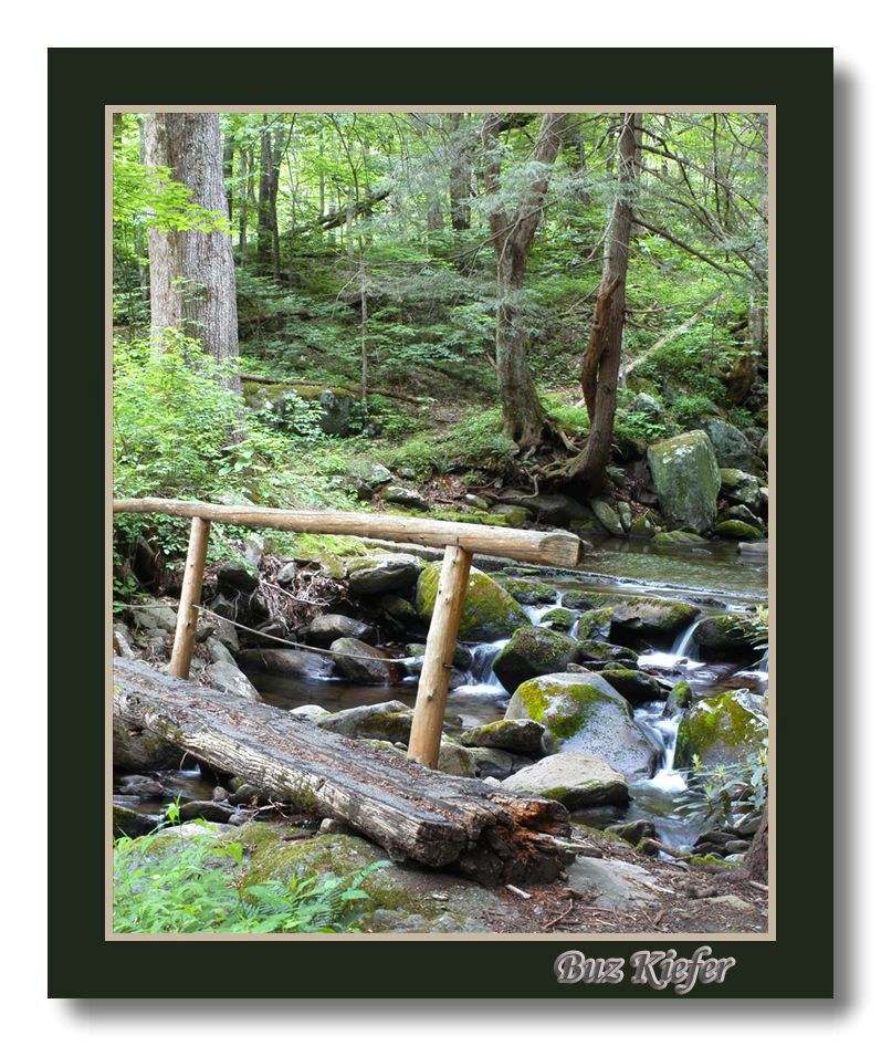 Log Bridge on Trail