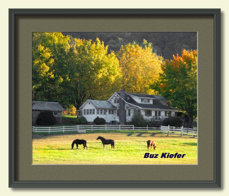 Horse and Home-framed.jpg