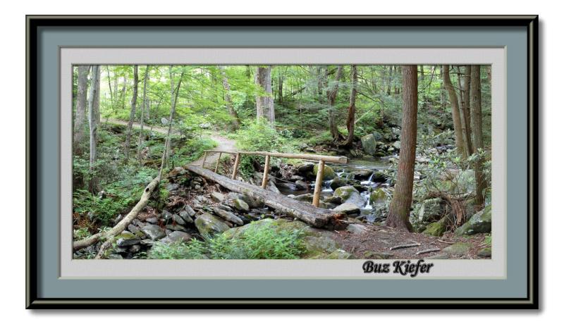 Log Bridge on Trail  #2