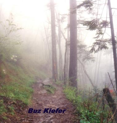 Appalachian Trail in Fog