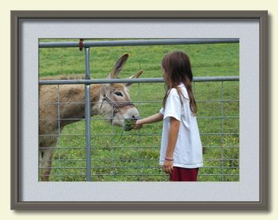 Aimee and Donkey.jpg