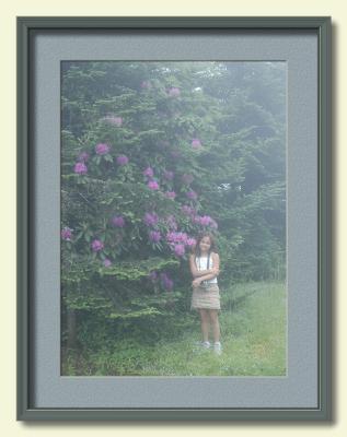 In the Clouds on Roan Mountain.jpg