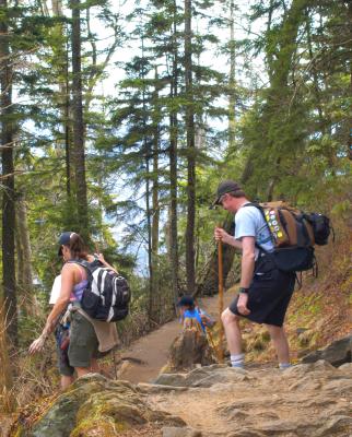 Hikers on the Appalachian Trail.jpg