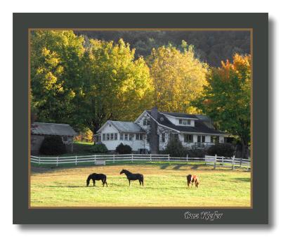 Horse and Home