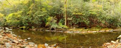 Autumn Stream