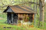 Bike and Shed in Treeline.jpg