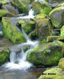 Small Green Cascade.jpg